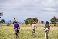 Safaris de tout poil