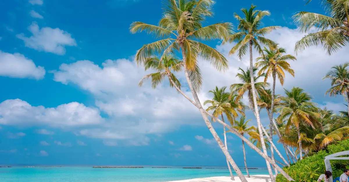 Les Meilleures Destinations à Découvrir pour Voyager Loin