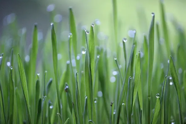 Comment Voyager Loin en Respectant l'Environnement
