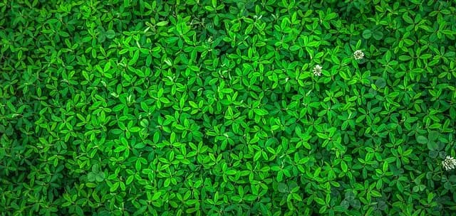 Comment Voyager Loin en Respectant l'Environnement : Guide Pratique