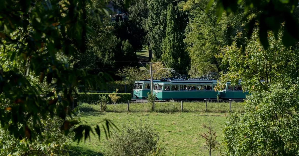 Comment Voyager Loin en Respectant l'Environnement