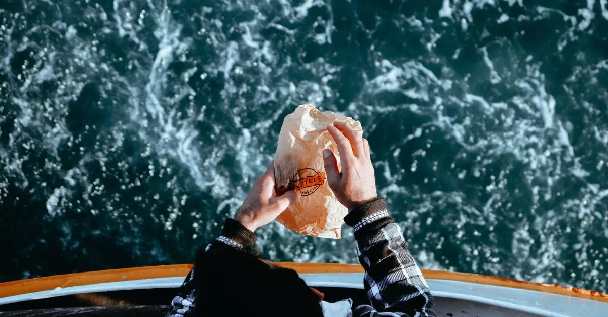 Les Voyages à Bas Carbone : Réduire son Emprunte
