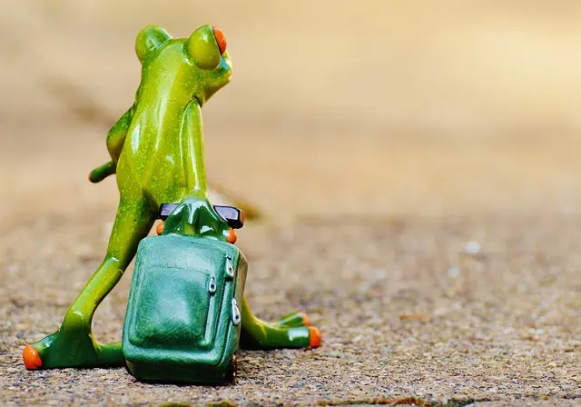 Comment Préparer un Voyage Lointain : Guide Pratique