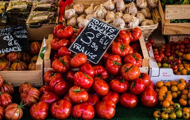 Les Meilleures Astuces pour Voyager Loin et Économiser