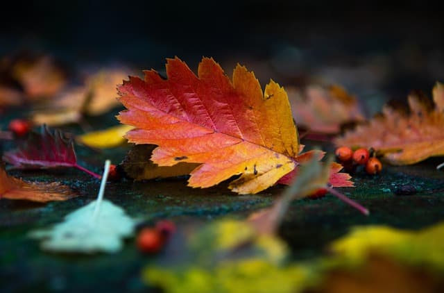 10 Destinations Lointaines à Explorer Cet Automne