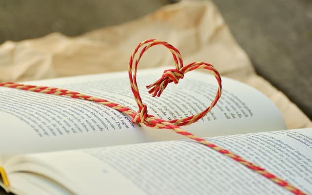 10 Astuces pour Réussir Votre Voyage Lointain