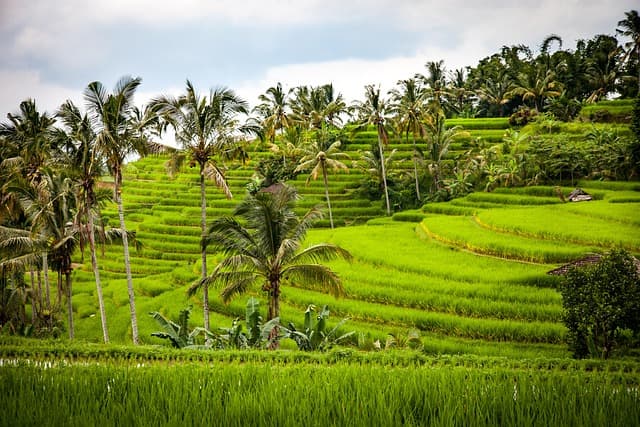 Les Must-See en Asie : 10 Destinations à Explorer Absolument